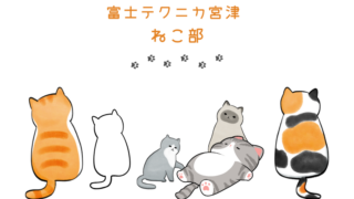 富士テクニカ宮津 ねこ部 | 株式会社富士テクニカ宮津